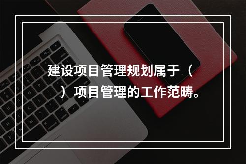 建设项目管理规划属于（　　）项目管理的工作范畴。