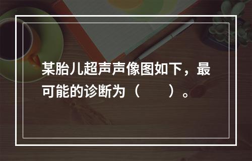 某胎儿超声声像图如下，最可能的诊断为（　　）。