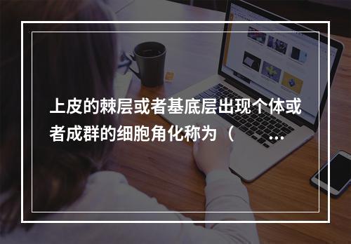 上皮的棘层或者基底层出现个体或者成群的细胞角化称为（　　）。