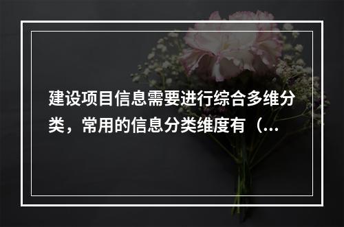 建设项目信息需要进行综合多维分类，常用的信息分类维度有（　