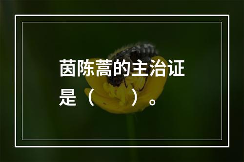 茵陈蒿的主治证是（　　）。