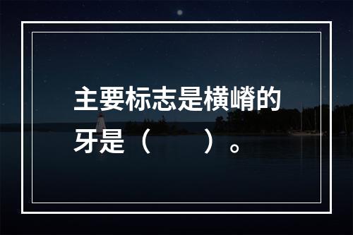 主要标志是横嵴的牙是（　　）。