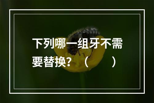 下列哪一组牙不需要替换？（　　）