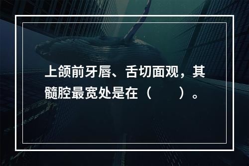 上颌前牙唇、舌切面观，其髓腔最宽处是在（　　）。