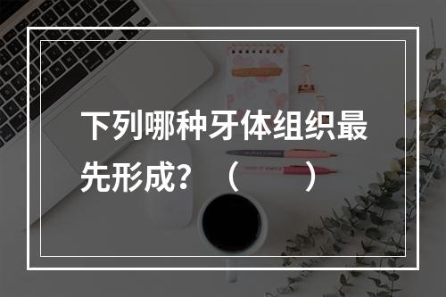 下列哪种牙体组织最先形成？（　　）