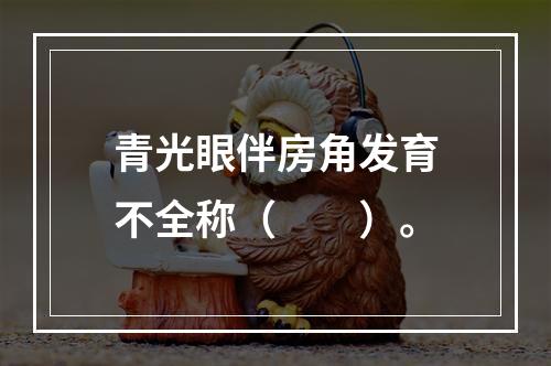 青光眼伴房角发育不全称（　　）。