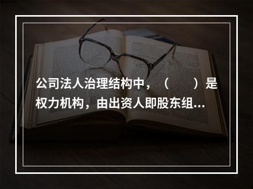 公司法人治理结构中，（　　）是权力机构，由出资人即股东组成