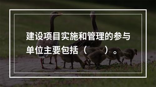 建设项目实施和管理的参与单位主要包括（　　）。