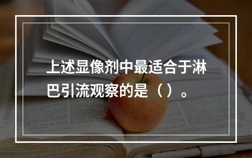 上述显像剂中最适合于淋巴引流观察的是（ ）。