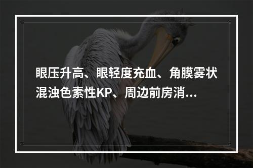 眼压升高、眼轻度充血、角膜雾状混浊色素性KP、周边前房消失、