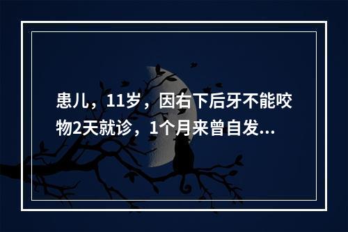 患儿，11岁，因右下后牙不能咬物2天就诊，1个月来曾自发痛、