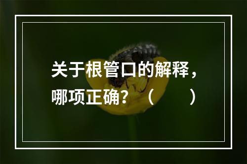 关于根管口的解释，哪项正确？（　　）