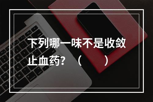 下列哪一味不是收敛止血药？（　　）