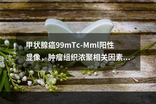 甲状腺癌99mTc-Mml阳性显像，肿瘤组织浓聚相关因素是（