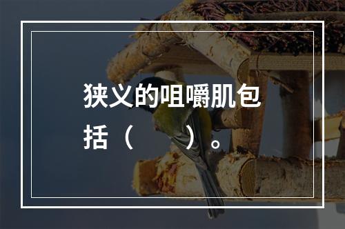 狭义的咀嚼肌包括（　　）。