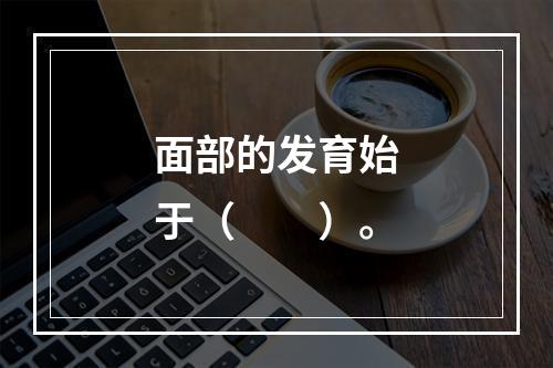 面部的发育始于（　　）。