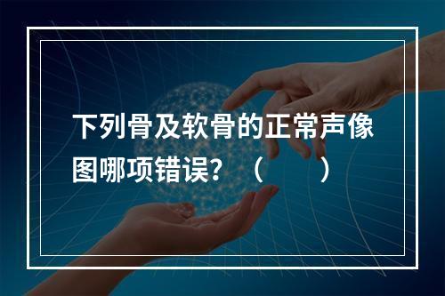 下列骨及软骨的正常声像图哪项错误？（　　）