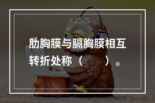 肋胸膜与膈胸膜相互转折处称（　　）。