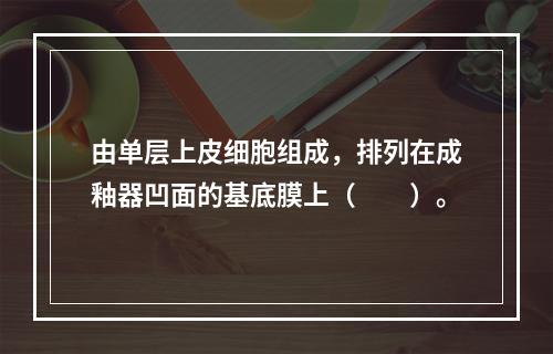 由单层上皮细胞组成，排列在成釉器凹面的基底膜上（　　）。