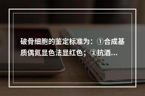 破骨细胞的鉴定标准为：①合成基质偶氮显色法显红色；②抗酒石酸