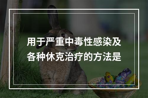 用于严重中毒性感染及各种休克治疗的方法是