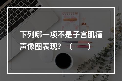 下列哪一项不是子宫肌瘤声像图表现？（　　）