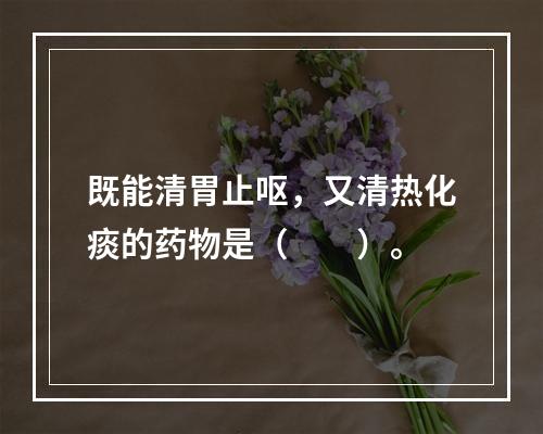 既能清胃止呕，又清热化痰的药物是（　　）。