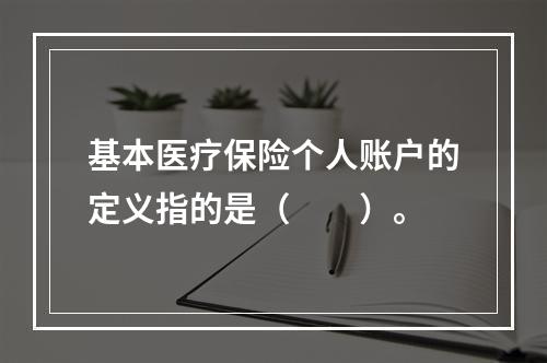 基本医疗保险个人账户的定义指的是（　　）。