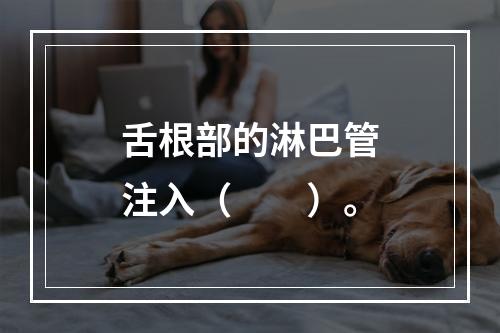 舌根部的淋巴管注入（　　）。