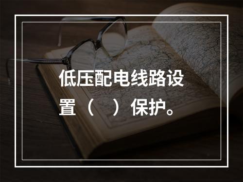 低压配电线路设置（　）保护。