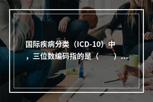 国际疾病分类（ICD-10）中，三位数编码指的是（　　）。