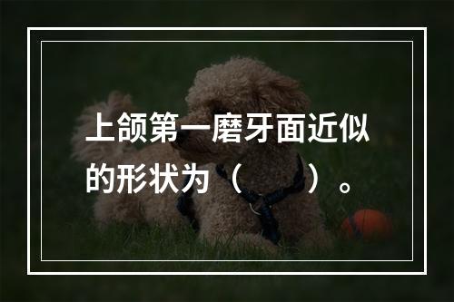 上颌第一磨牙面近似的形状为（　　）。