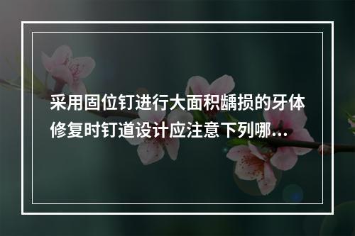 采用固位钉进行大面积龋损的牙体修复时钉道设计应注意下列哪项？