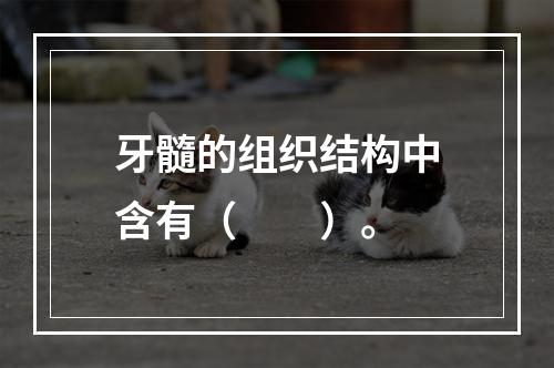 牙髓的组织结构中含有（　　）。