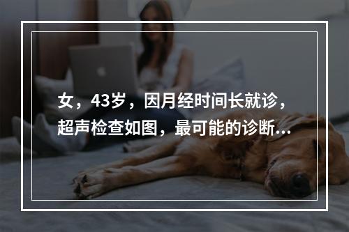 女，43岁，因月经时间长就诊，超声检查如图，最可能的诊断为