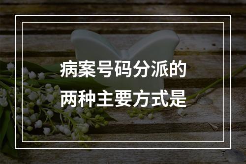 病案号码分派的两种主要方式是