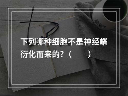 下列哪种细胞不是神经嵴衍化而来的?（　　）