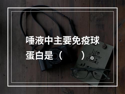 唾液中主要免疫球蛋白是（　　）。