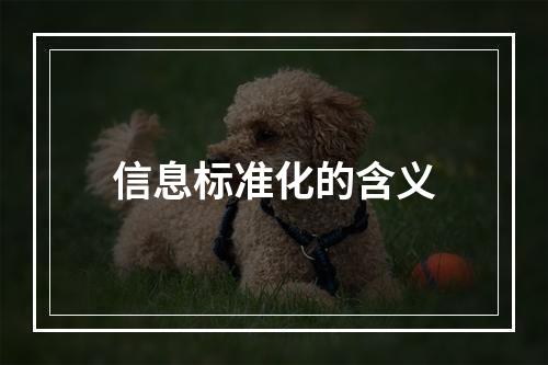 信息标准化的含义