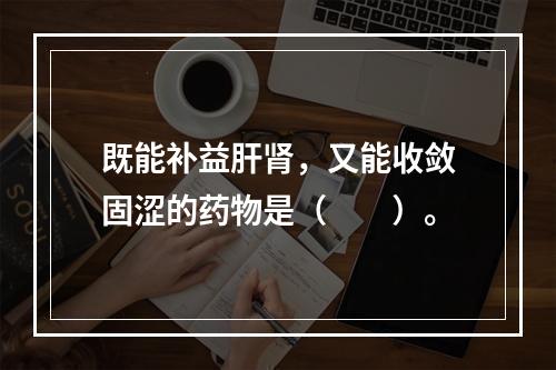 既能补益肝肾，又能收敛固涩的药物是（　　）。