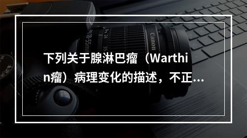 下列关于腺淋巴瘤（Warthin瘤）病理变化的描述，不正确的