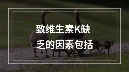 致维生素K缺乏的因素包括