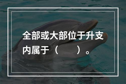 全部或大部位于升支内属于（　　）。