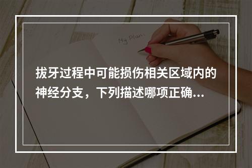 拔牙过程中可能损伤相关区域内的神经分支，下列描述哪项正确？（