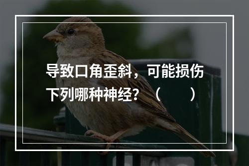 导致口角歪斜，可能损伤下列哪种神经？（　　）