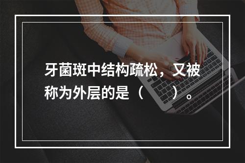 牙菌斑中结构疏松，又被称为外层的是（　　）。