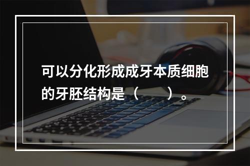 可以分化形成成牙本质细胞的牙胚结构是（　　）。