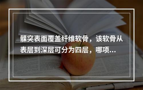 髁突表面覆盖纤维软骨，该软骨从表层到深层可分为四层，哪项正确