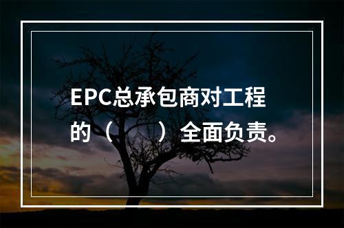 EPC总承包商对工程的（　　）全面负责。