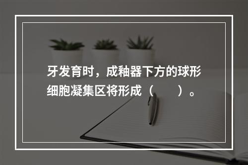 牙发育时，成釉器下方的球形细胞凝集区将形成（　　）。